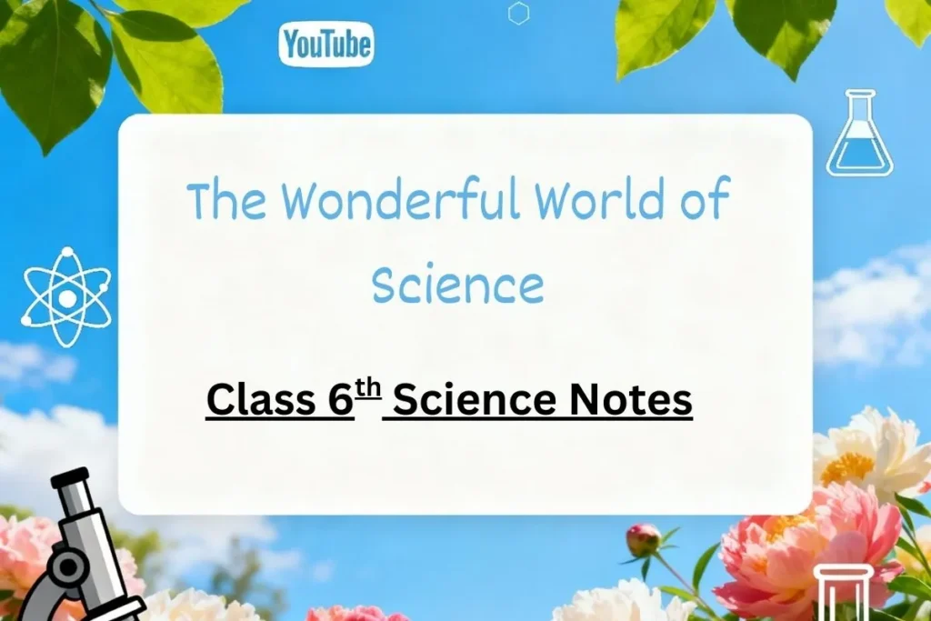 The Wonderful World of Science Class 6 Notes